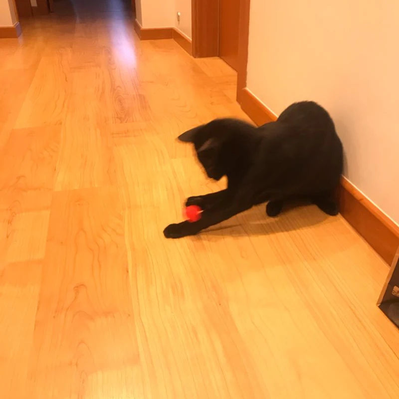 10 20 pçs/lote brinquedo de gato
bolas de pelúcia brinquedo colorido bola interativa