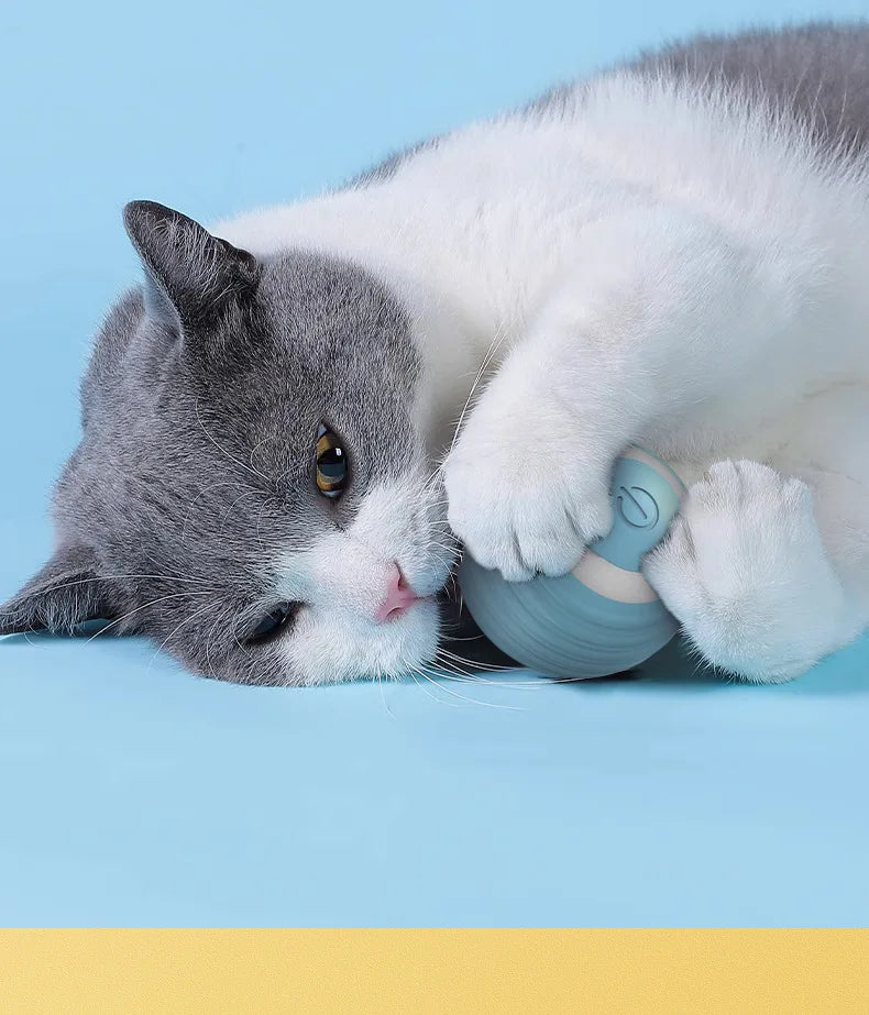 Bola interativa para gatos, brinquedos inteligentes para gatos, bola mágica