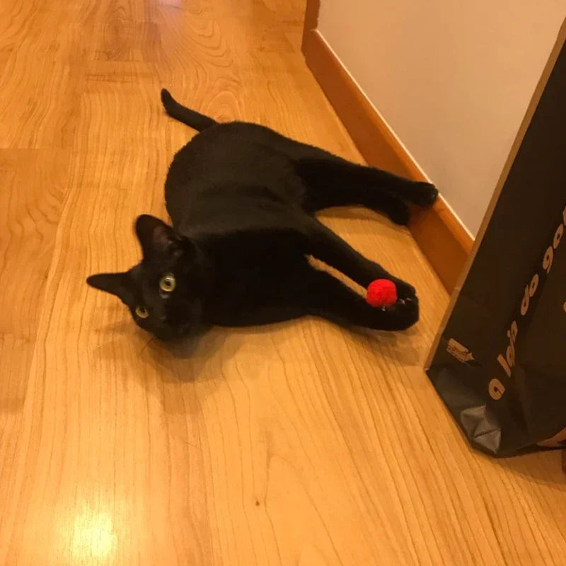 10 20 pçs/lote brinquedo de gato
bolas de pelúcia brinquedo colorido bola interativa