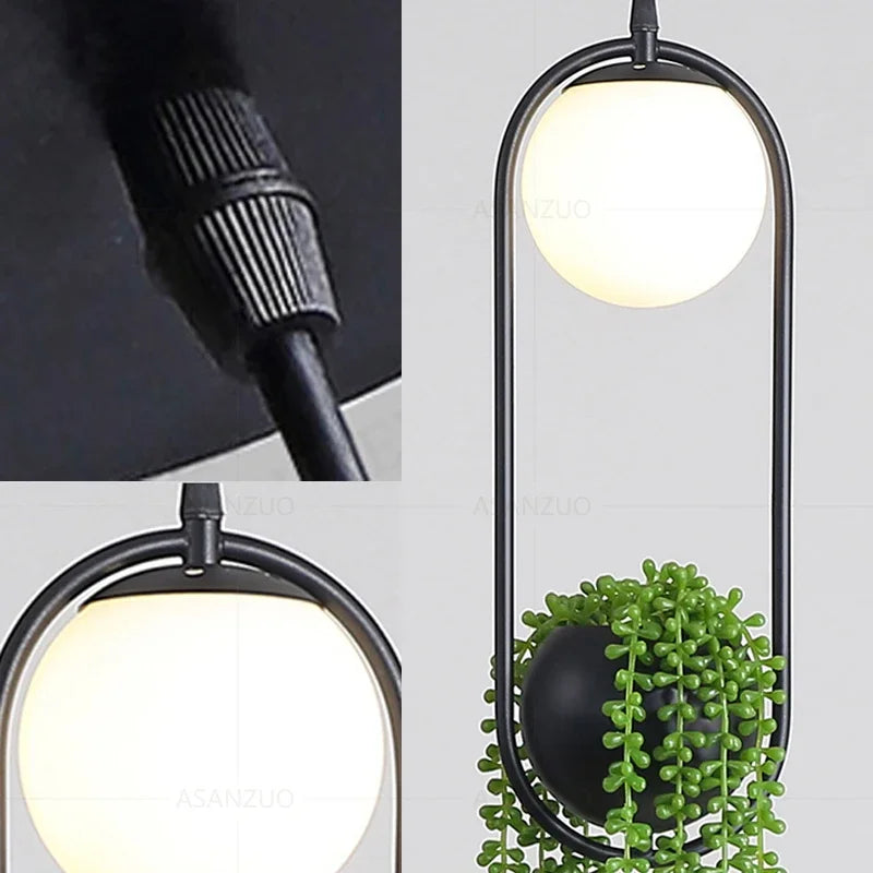 Bola de vidro lâmpada pendurada de plantas decoração para casa