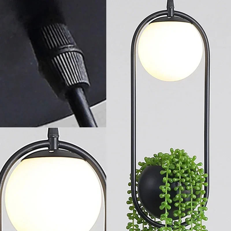 Bola de vidro lâmpada pendurada de plantas decoração para casa