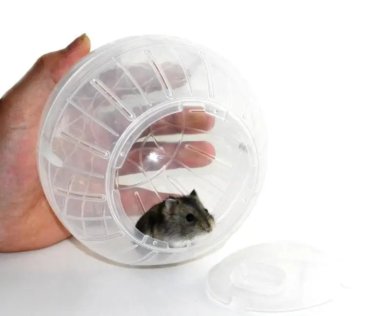 Bola brinquedo hamster gerbil rato exercício bolas jogar