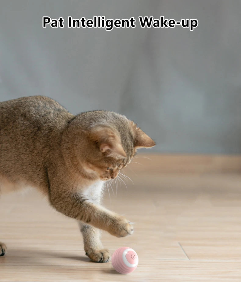 Bola interativa para gatos, brinquedos inteligentes para gatos, bola mágica