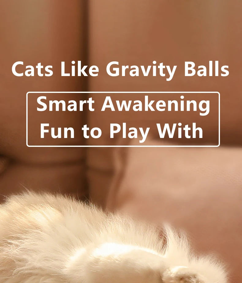 Bola interativa para gatos, brinquedos inteligentes para gatos, bola mágica
