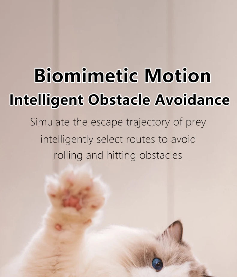Bola interativa para gatos, brinquedos inteligentes para gatos, bola mágica